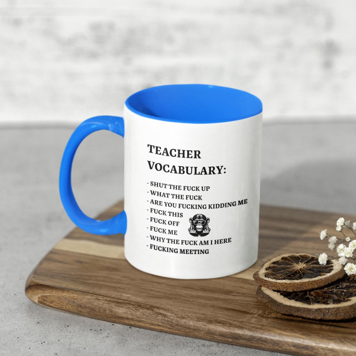 closeup-hilarious-rude-teacher-vocabulary-mug