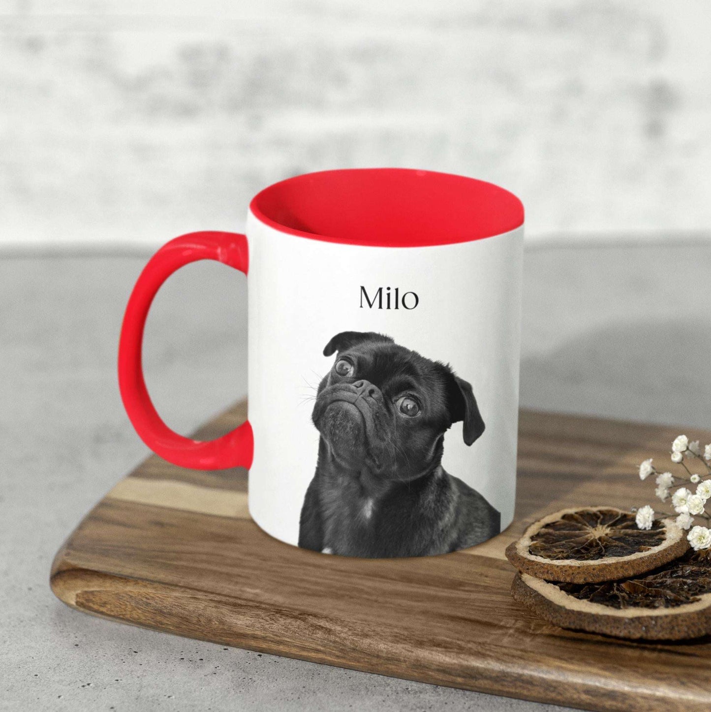 personalized-name-pet-photo-mug